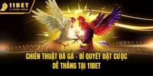 Chiến Thuật Đá Gà - Bí Quyết Đặt Cược Dễ Thắng Tại 11bet
